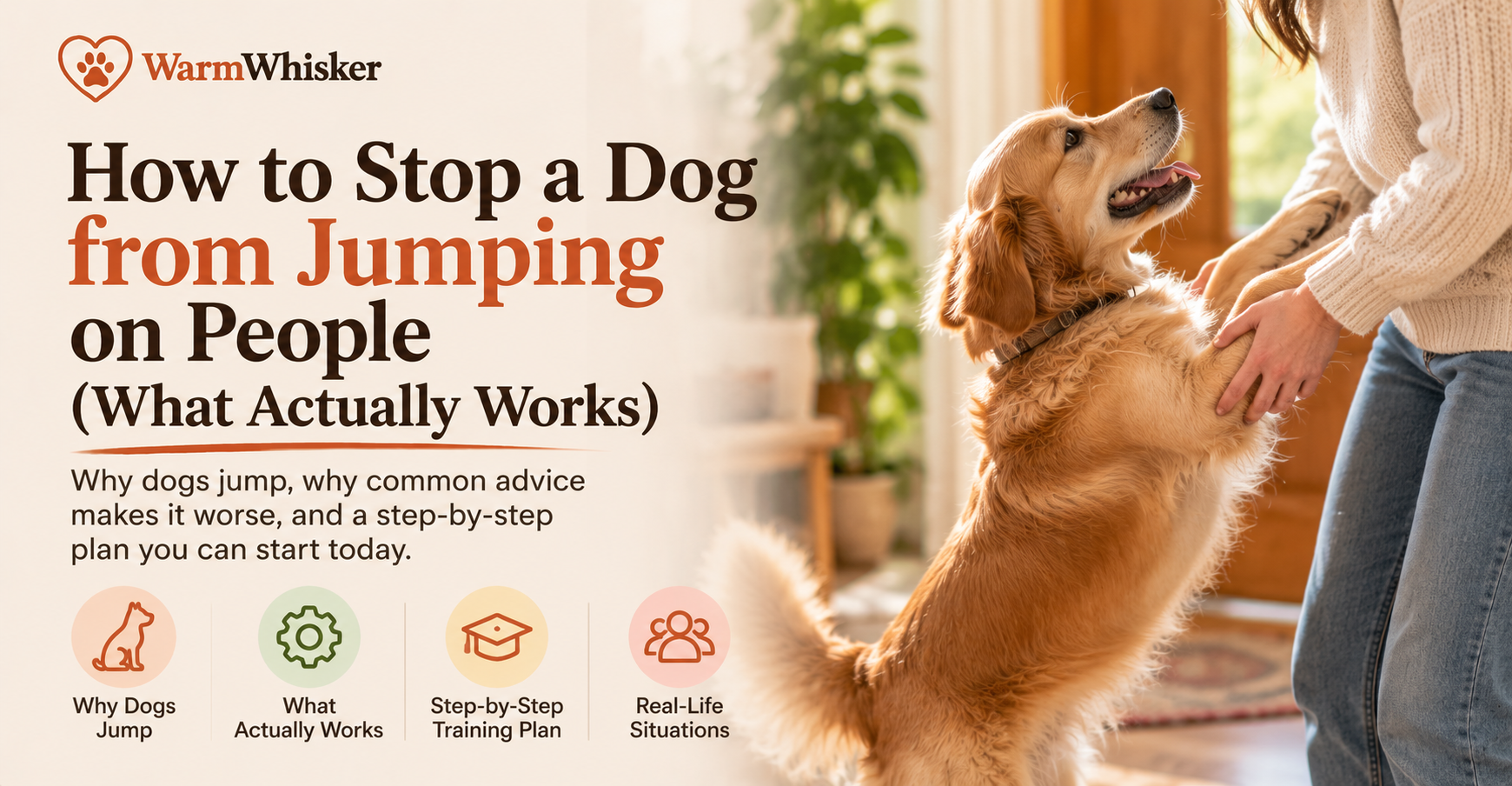 A dog sitting calmly on the floor being greeted by a person crouching down, illustrating the four-on-the-floor greeting pattern that replaces jumping